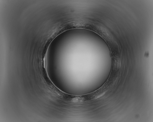 X0000091070700200708201410