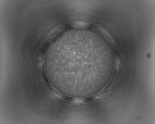 X0000091070701200708201410