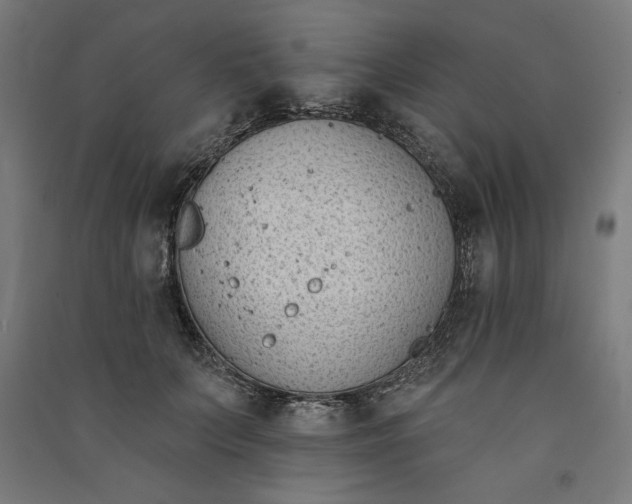 X0000091070703200708201410