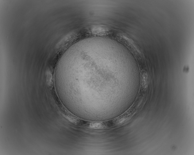 X0000091070705200708201410