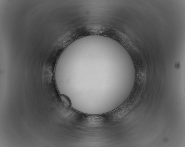 X0000091070707200708201409