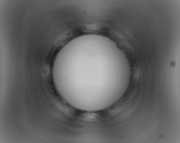 X0000091070711200708201409