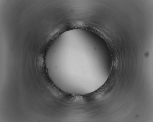 X0000091070715200708201409