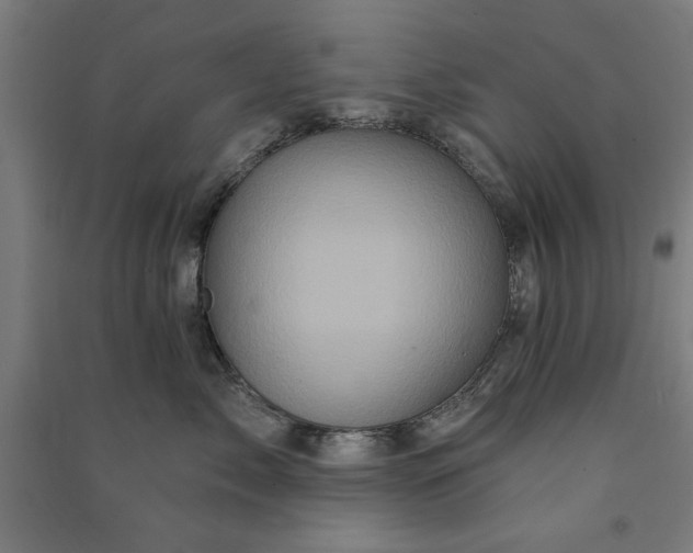 X0000091070717200708201409