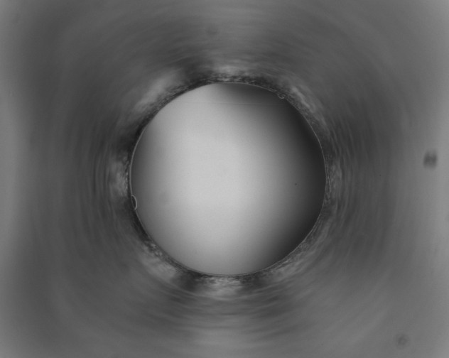 X0000091070719200708201409