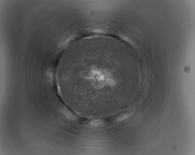 X0000091070720200708201409