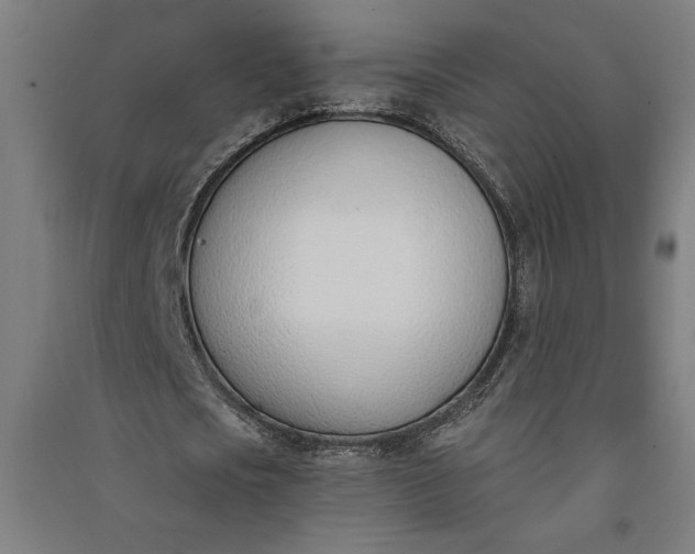 X0000091070721200708201409