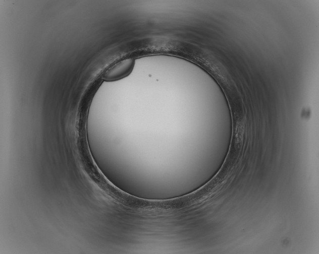 X0000091070722200708201409