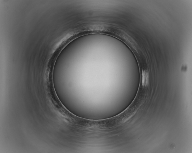 X0000091070723200708201409