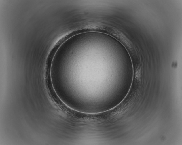 X0000091070724200708201409