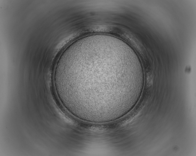 X0000091070725200708201409