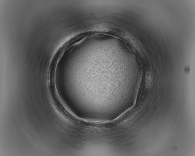 X0000091070726200708201409