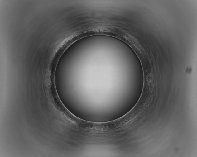 X0000091070727200708201409