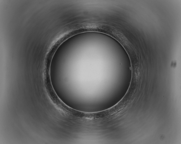 X0000091070728200708201409