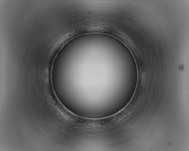 X0000091070729200708201409