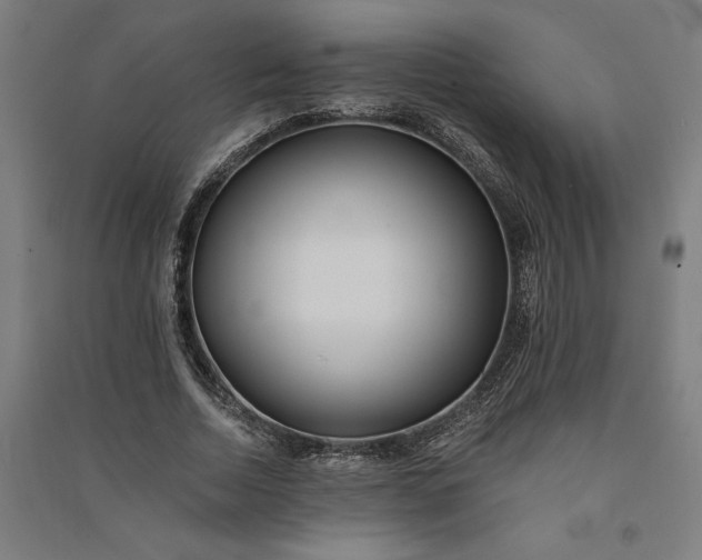 X0000091070730200708201409