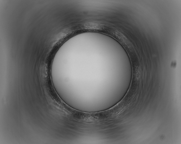 X0000091070731200708201409