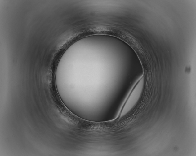 X0000091070732200708201409