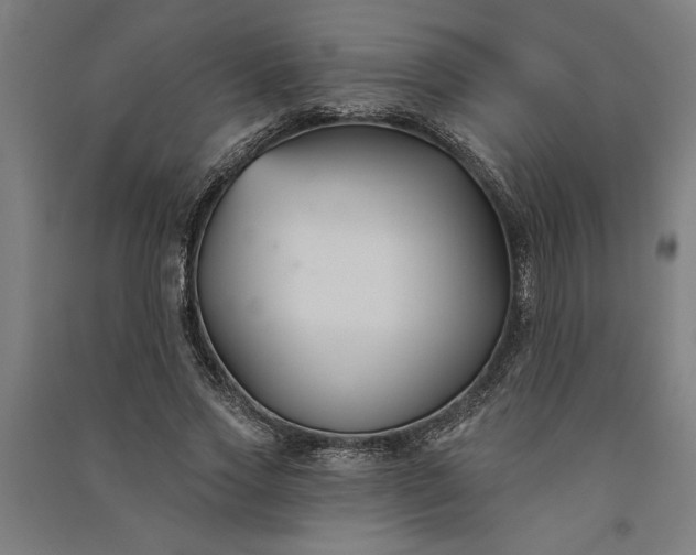 X0000091070733200708201409