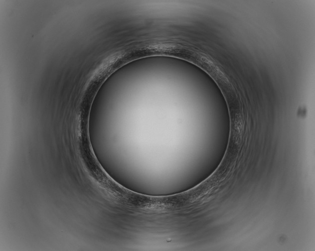 X0000091070734200708201409