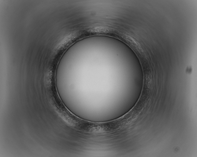 X0000091070735200708201409