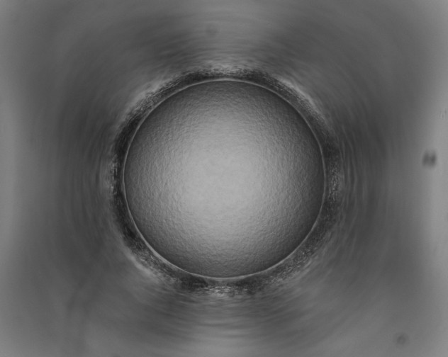 X0000091070736200708201409