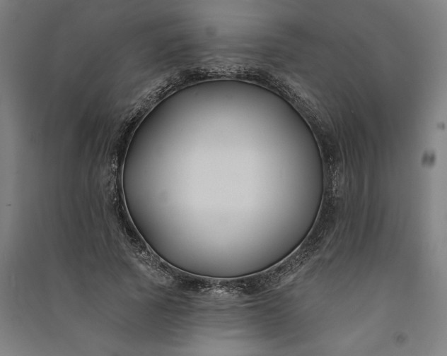 X0000091070737200708201409