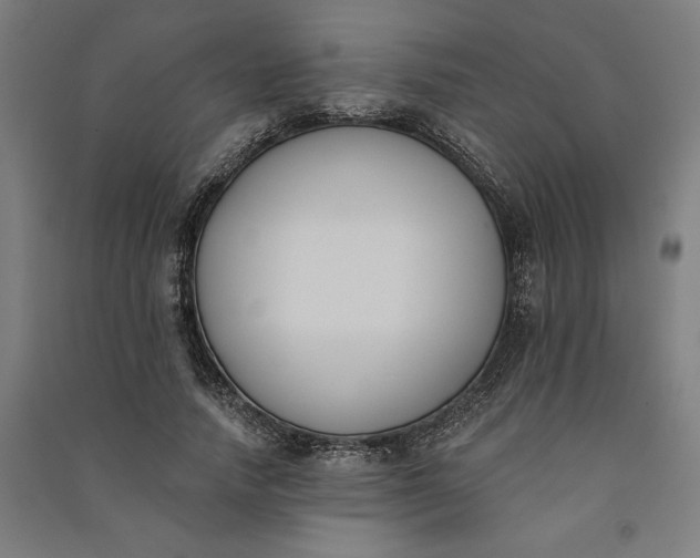 X0000091070738200708201409