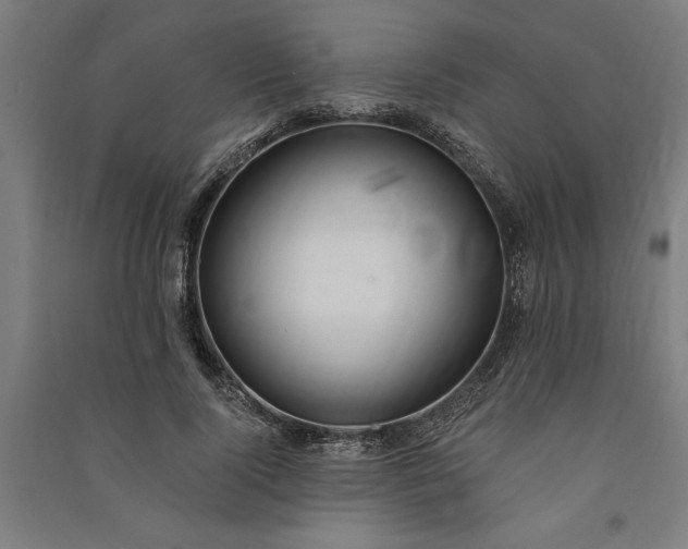 X0000091070740200708201409