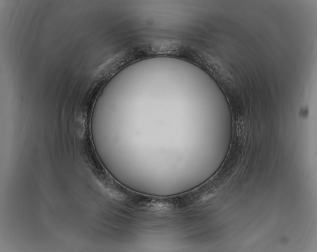 X0000091070741200708201409