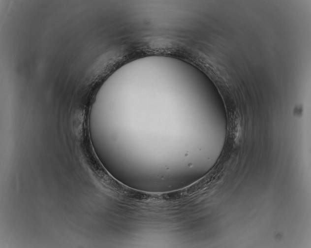 X0000091070742200708201409