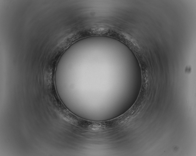 X0000091070745200708201409