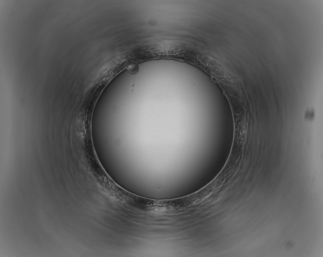 X0000091070746200708201409