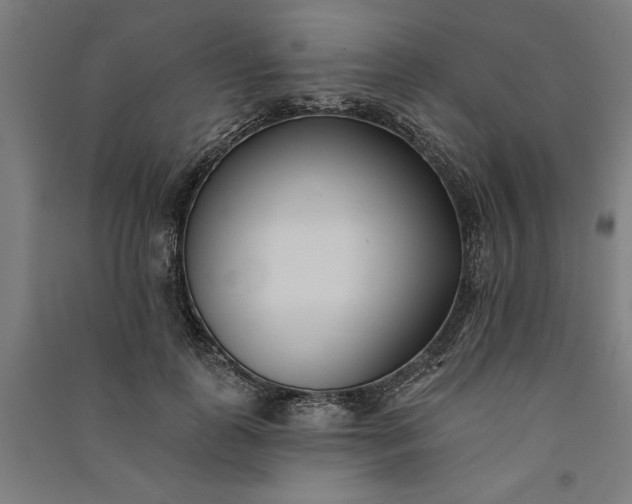 X0000091070747200708201409