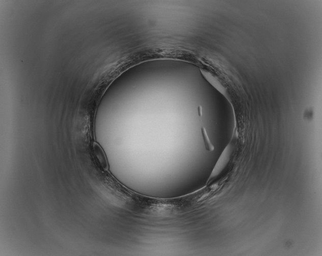 X0000091070748200708201409