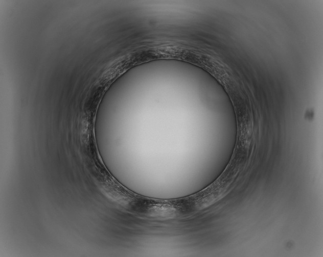 X0000091070749200708201409