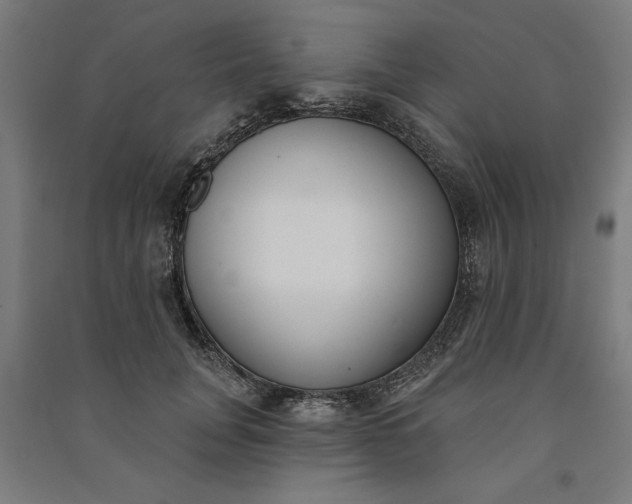 X0000091070751200708201409