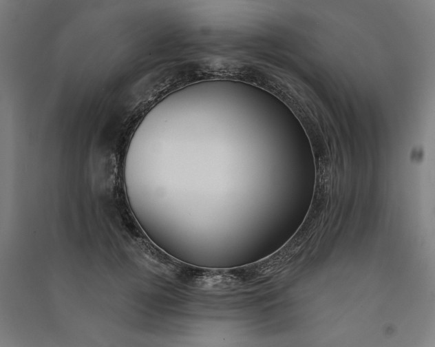 X0000091070752200708201409