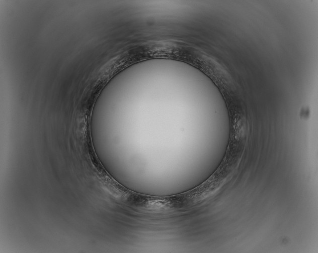 X0000091070753200708201409