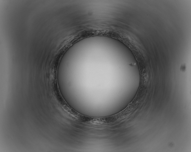 X0000091070756200708201409