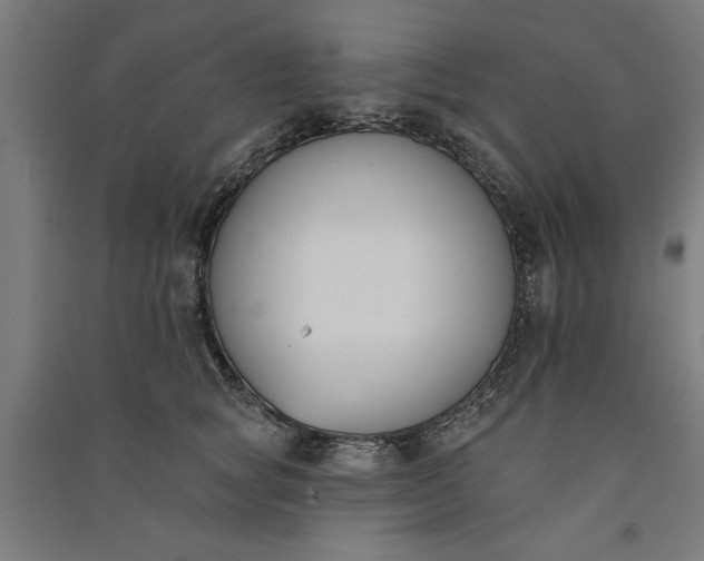 X0000091070757200708201409