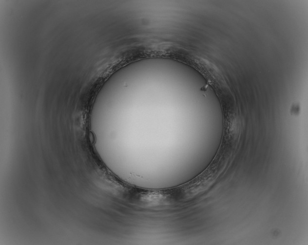 X0000091070759200708201409