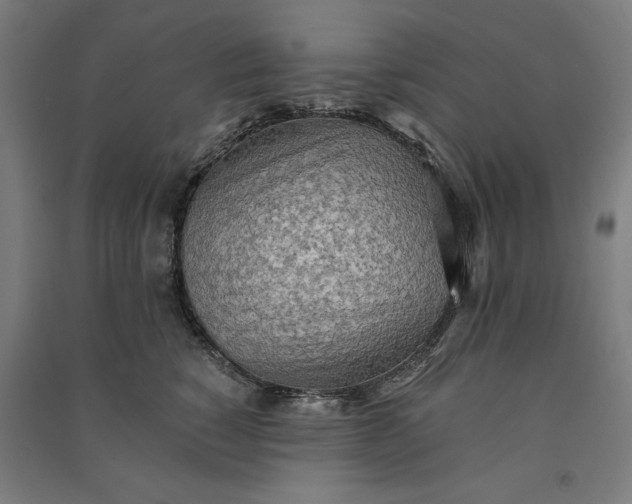 X0000091070760200708201409