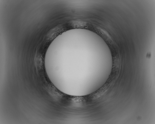 X0000091070761200708201409