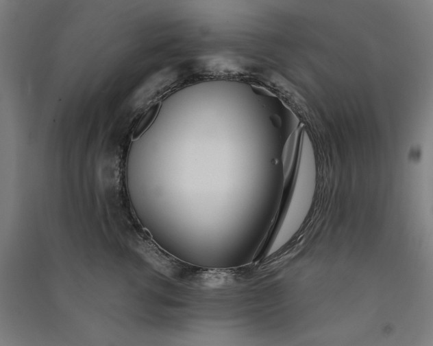 X0000091070762200708201409