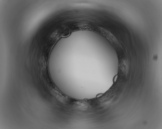 X0000091070763200708201409