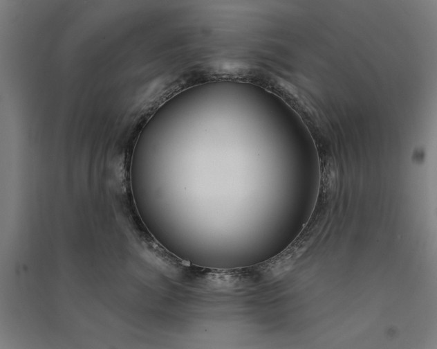 X0000091070764200708201409