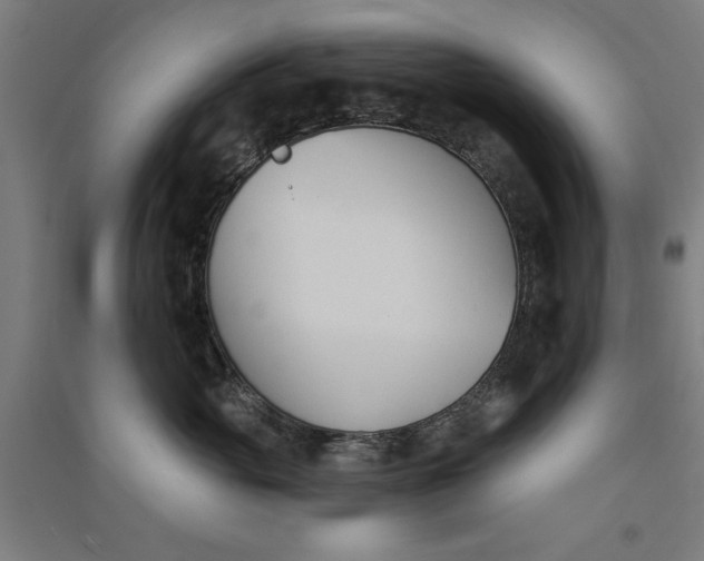 X0000091070765200708201409