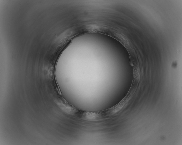 X0000091070766200708201409