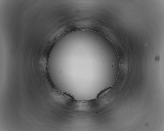 X0000091070767200708201409